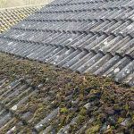 roof cleaning Chertsey