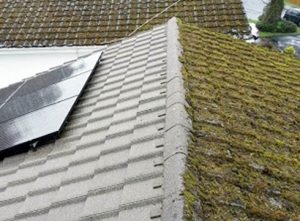 Roof Cleaning companies in Surrey