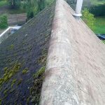 roof cleaning Epsom